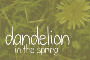 Dandelion in the Spring: A Sweet Handwritten Font for Branding