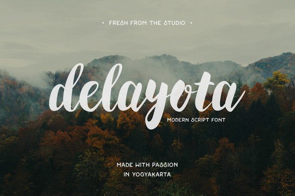 Delayota: The Bold Script Font for Modern Branding