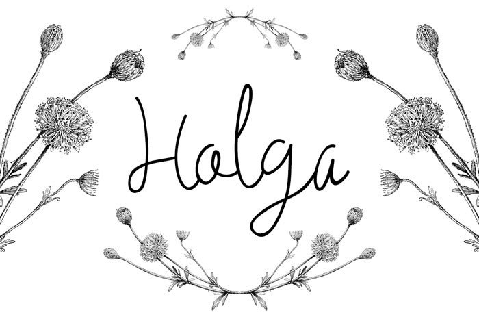Designing a Brand Identity with Holga Script Font