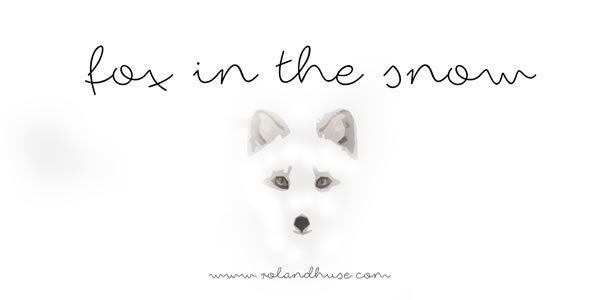 Fox in the Snow: A Script Handwritten Font for Makers