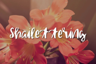 Shailettering: A Hand Drawn Typeface for Editorial Design