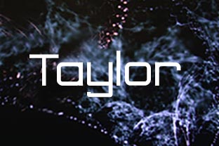 Taylor Font: The Clear Sans Serif for Modern Brands