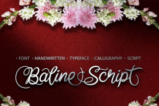 Transform Your Brand with Baline Script Typeface