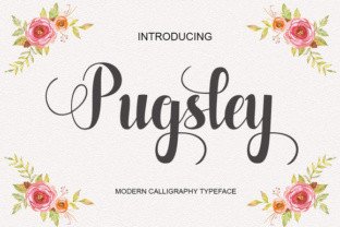 Upgrade Your Brand with Pugsley Handwritten Font