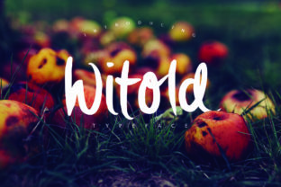 Witold Font: The Handbrushed Typeface for Small Business Branding